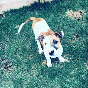 Meet your Posher, Natalia